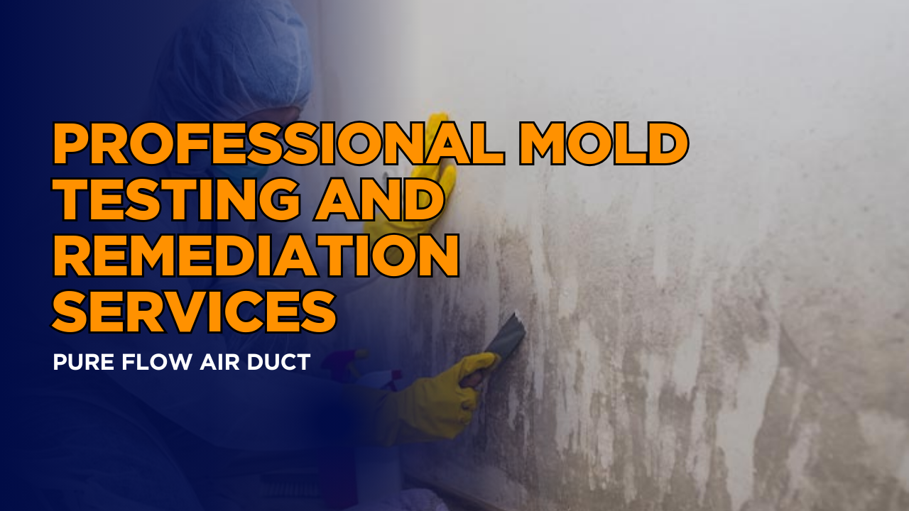Professional Mold Testing and Remediation Services