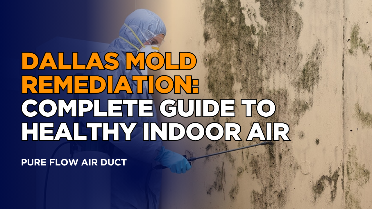Dallas Mold Remediation: Complete Guide to Healthy Indoor Air
